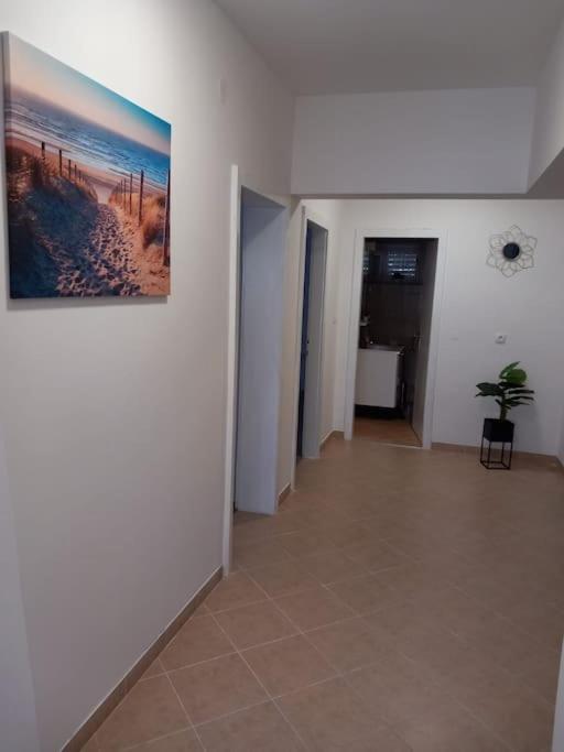 Apartment Dora-100M From The Central Beach Makarska Eksteriør billede